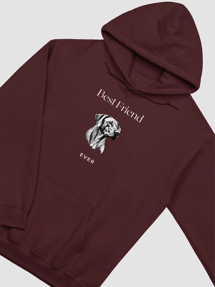 Rhodesian Ridgeback Best Friend Ever Hoodie product image (2)