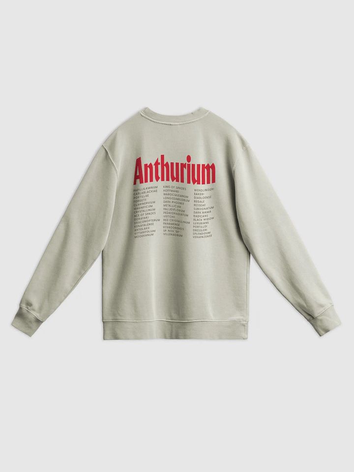 ⚡️ ANTHURIUM WORLD TOUR ⚡️ unisex midweight pigment dyed sweatshirt product image (2)