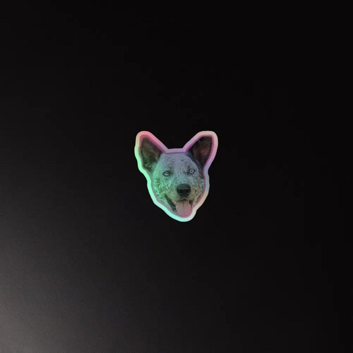 Dusk-A-Rooney Holographic Sticker product image (2)