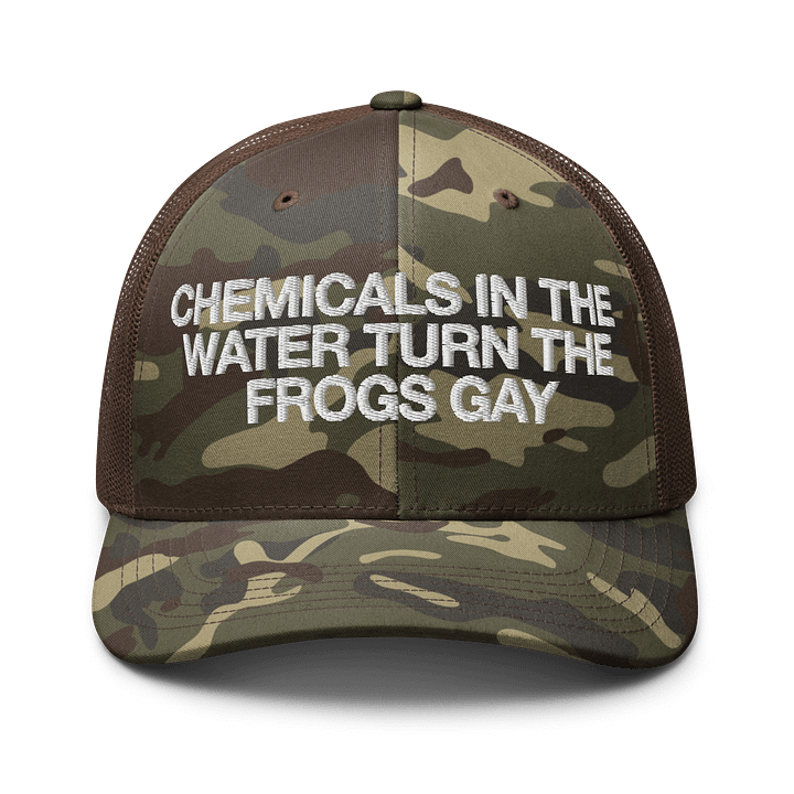 Gay Fogs - Camo Cap product image (7)