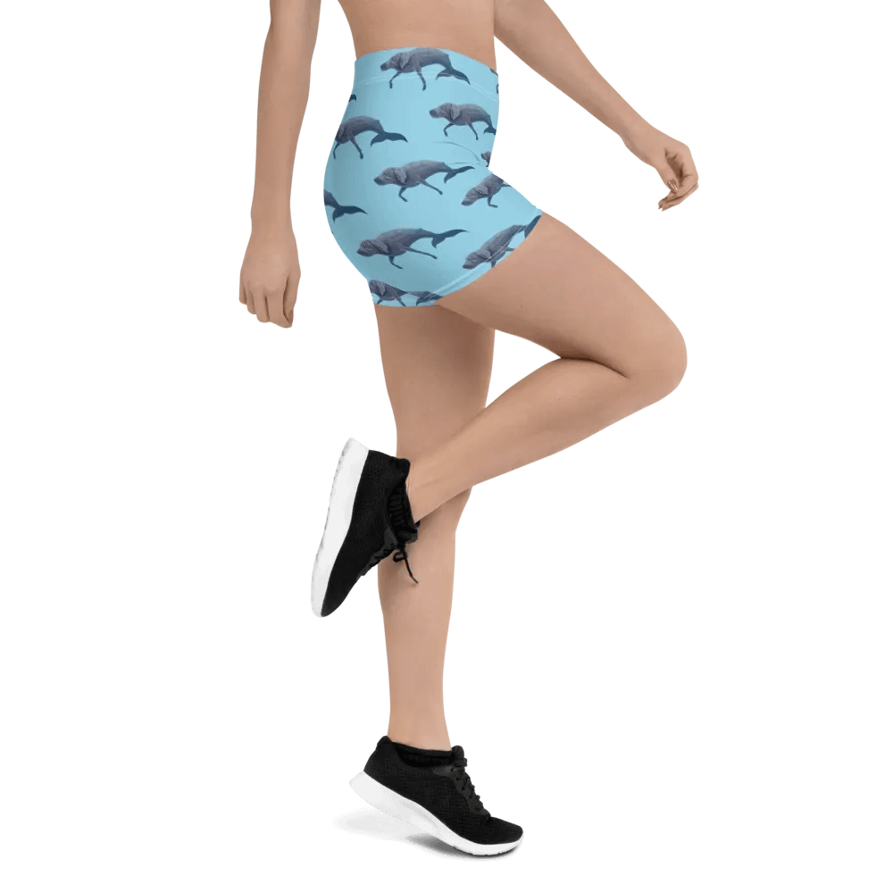 Whalemeriner Shorts product image (3)