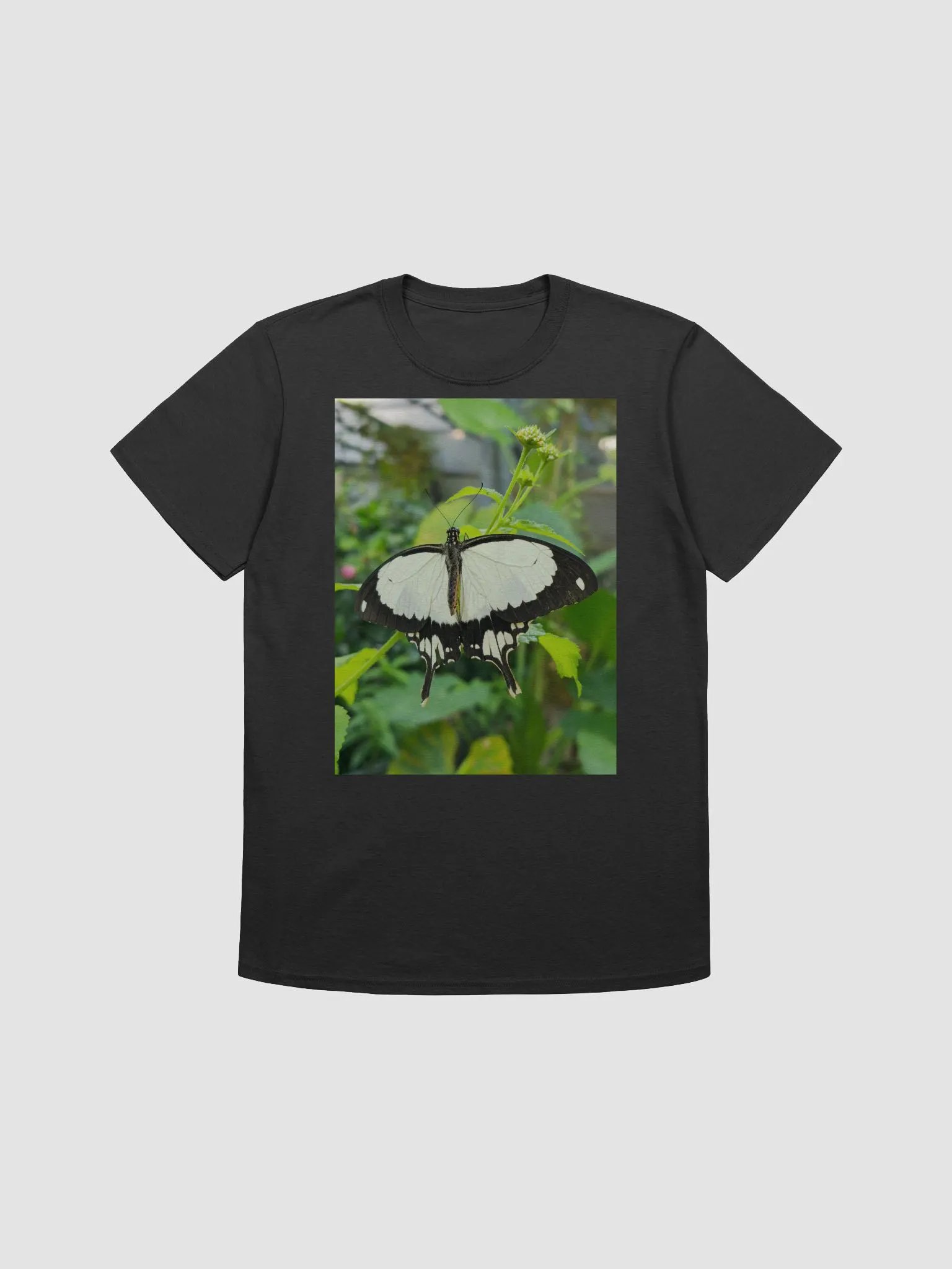 Mocker Swallowtail Tropical Butterfly Unisex T-Shirt product image (3)