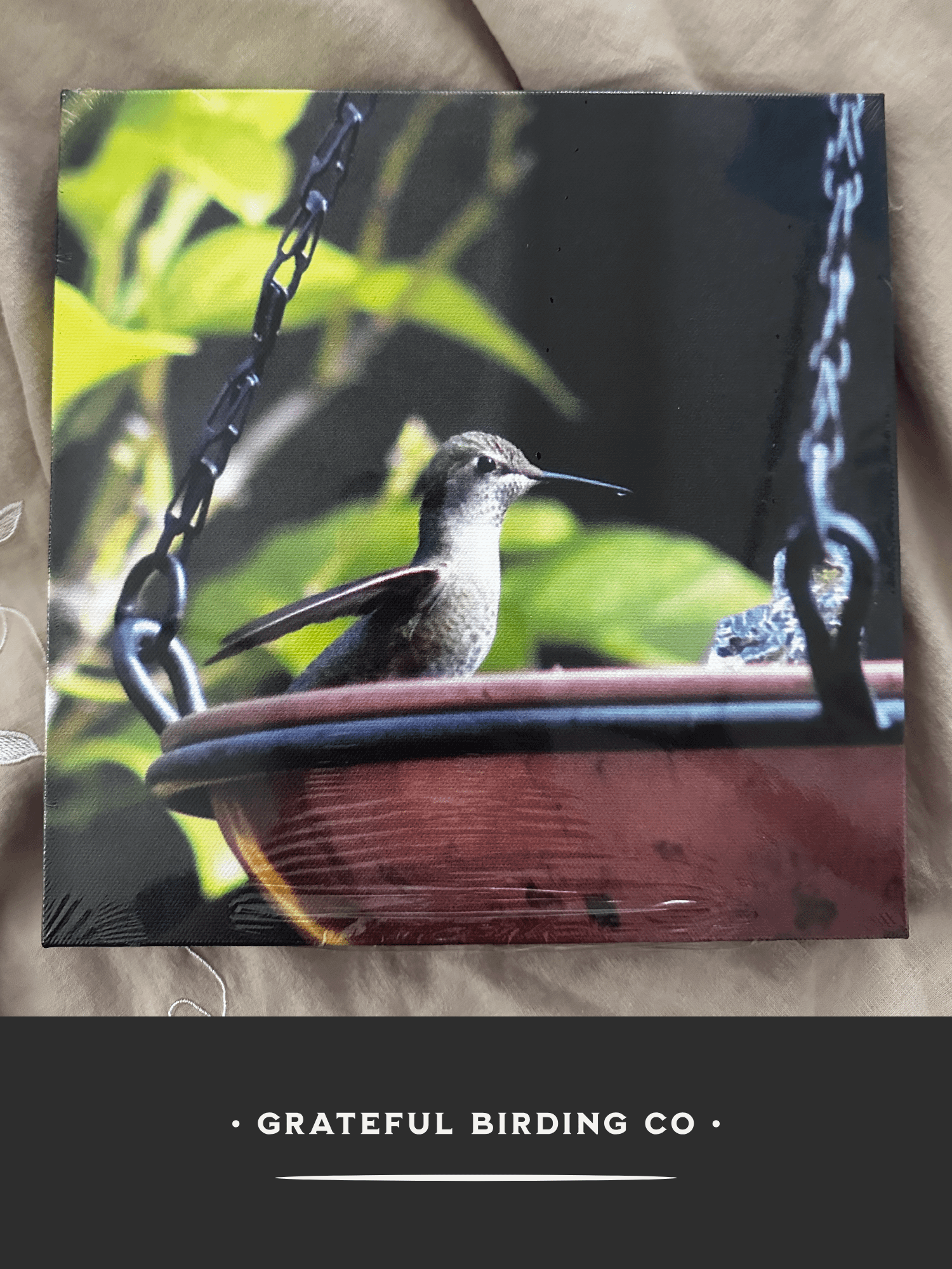 Hummingbird Joy: Bath Time - Bird Wall Art product image (4)