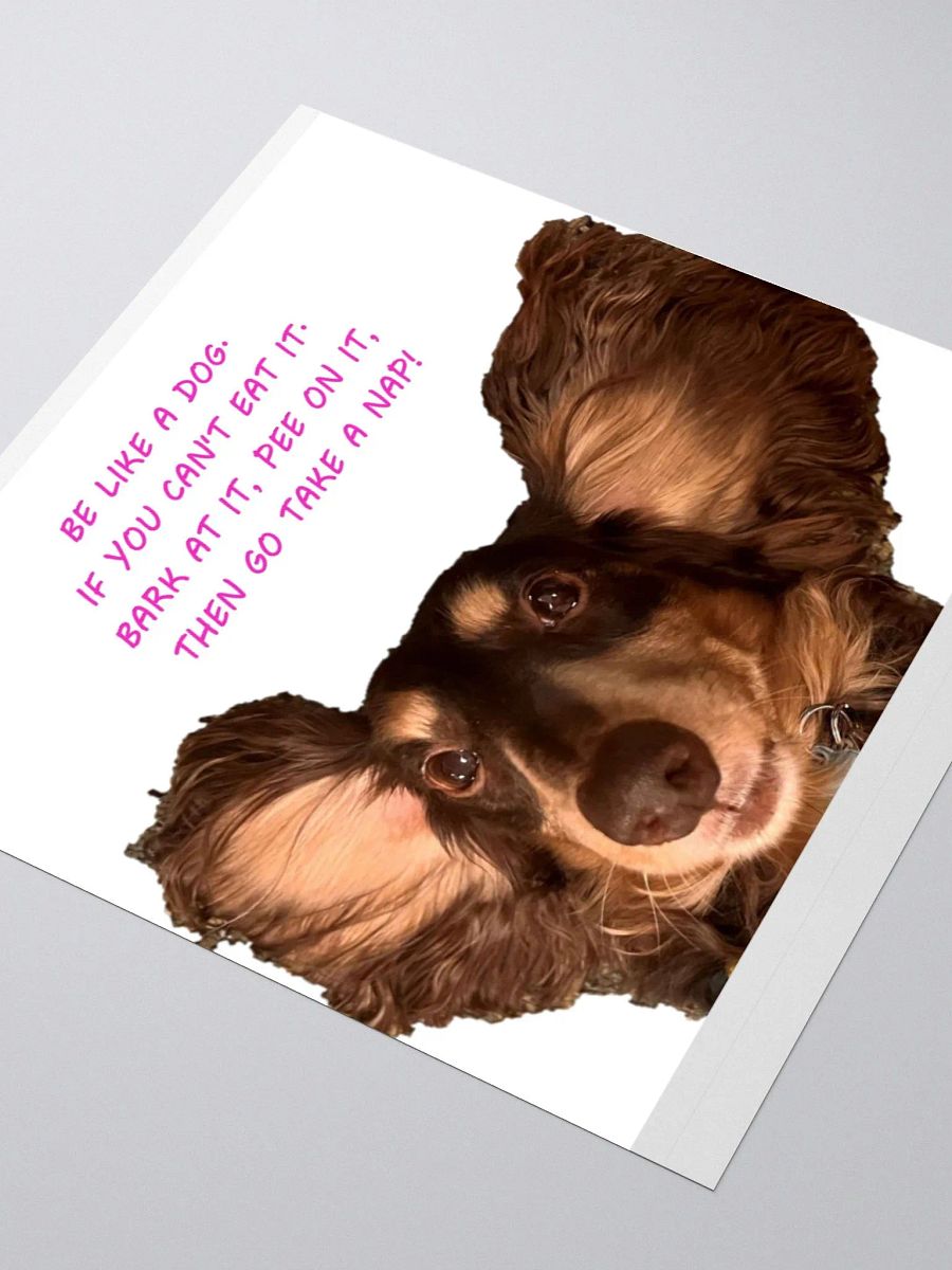 WHITE BE LIKE A DOG product image (10)