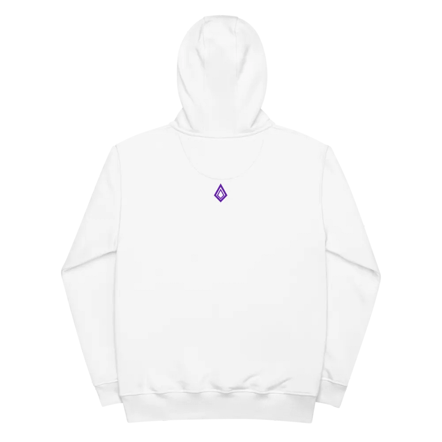Premium Unisex Eco Hoodie product image (4)