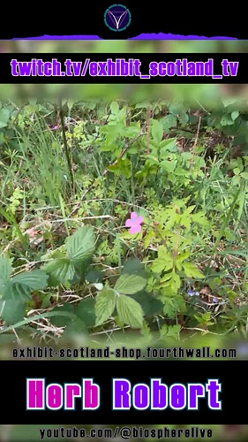 info...

Sign up to a membership subscription, get access to Exhibit Scotland products and merchandise https://exhibit-scotla...