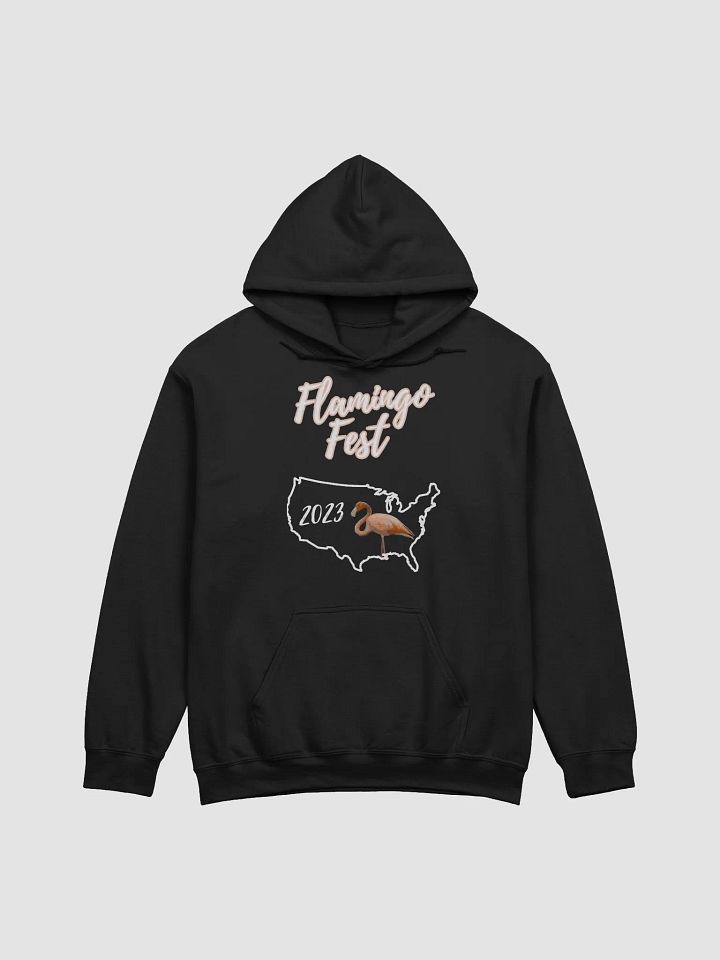 Flamingo Fest Hoodie product image (1)
