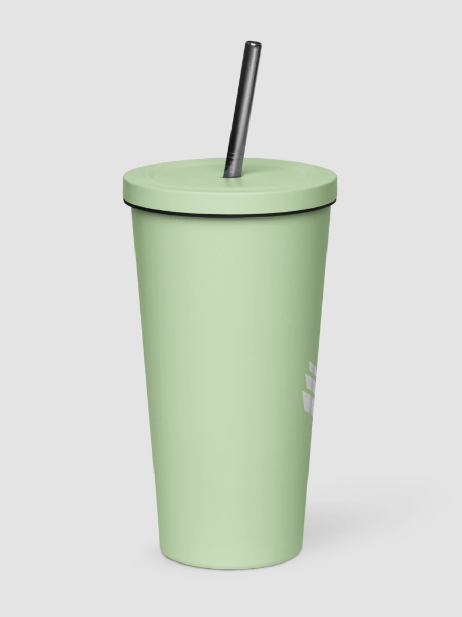 Insulated Tumbler with Straw - Mint product image (4)