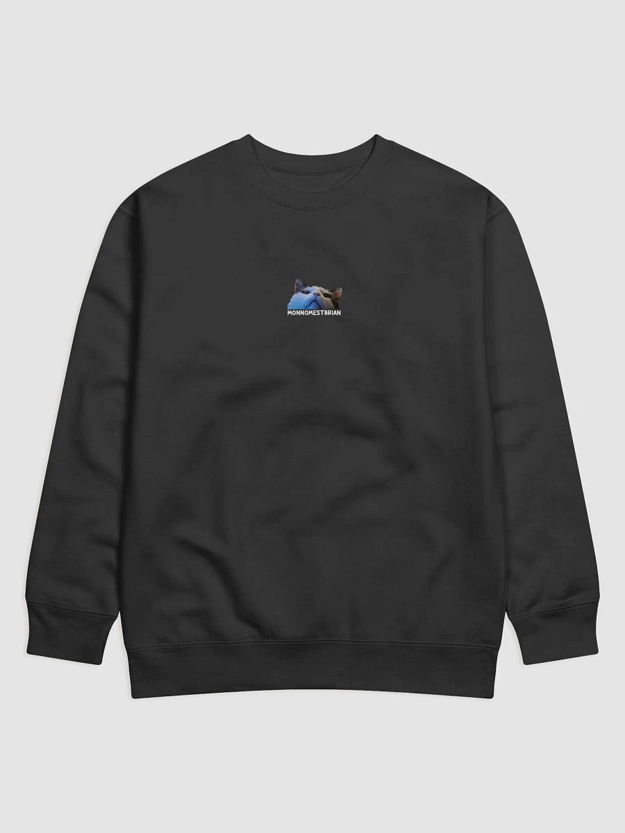 SHIRT - MONNOMESTBRIAN - UNISEX product image (1)