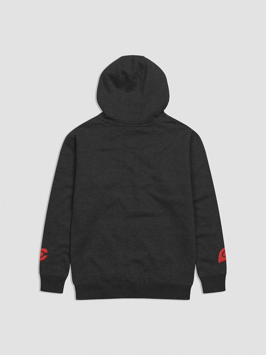 Cypher Logo Hoodie (Orange Embroidered) product image (8)