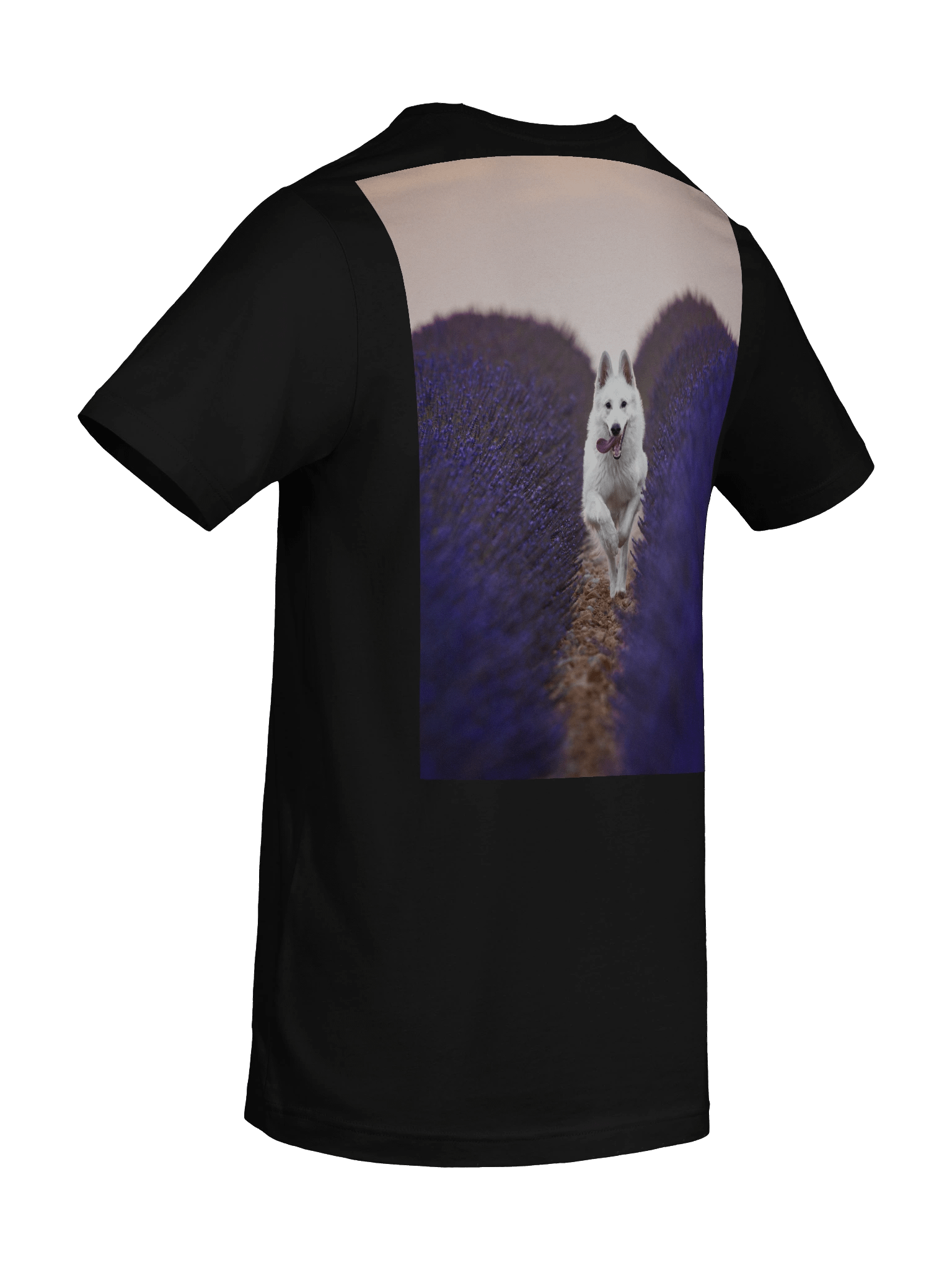 Rasta in the lavender fields product image (48)