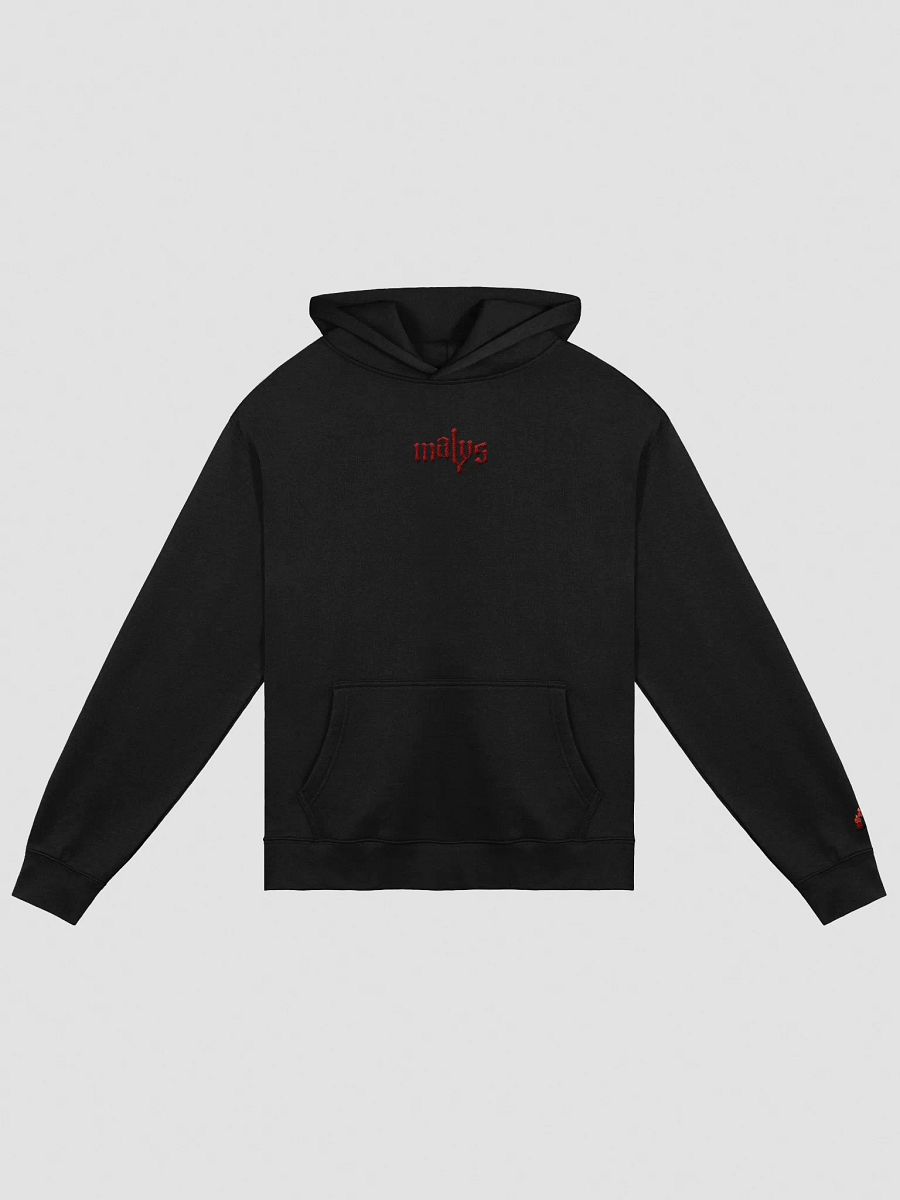 Malys Embroidered Hoodie product image (1)