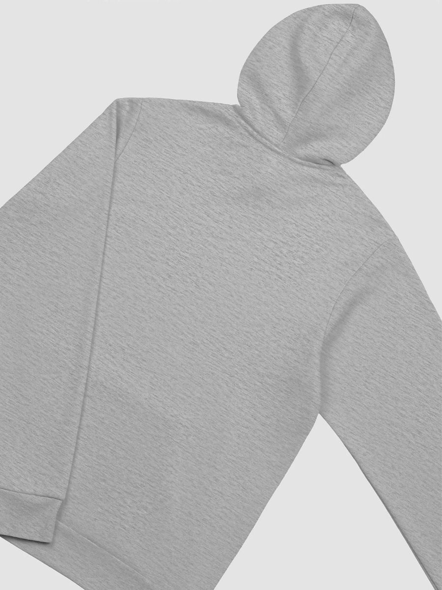 SBN Bella+Canvas Super soft Hoodie Gray product image (4)