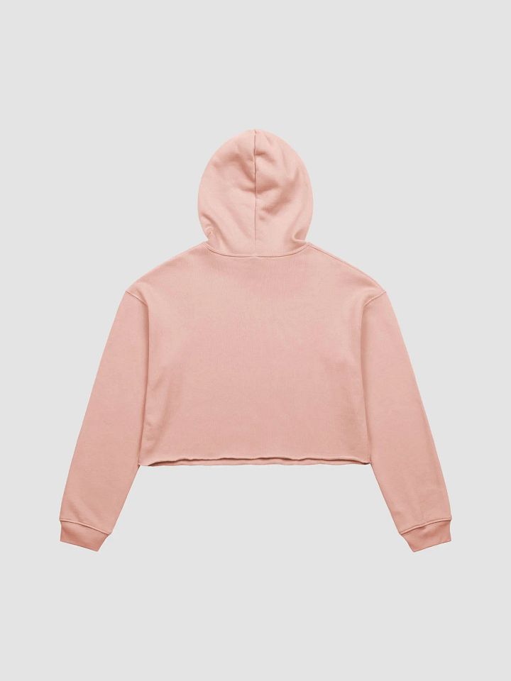 Drinking Around the World Disney: Taking Flights Without Leaving Ground Pink Crop Hoodie product image (2)