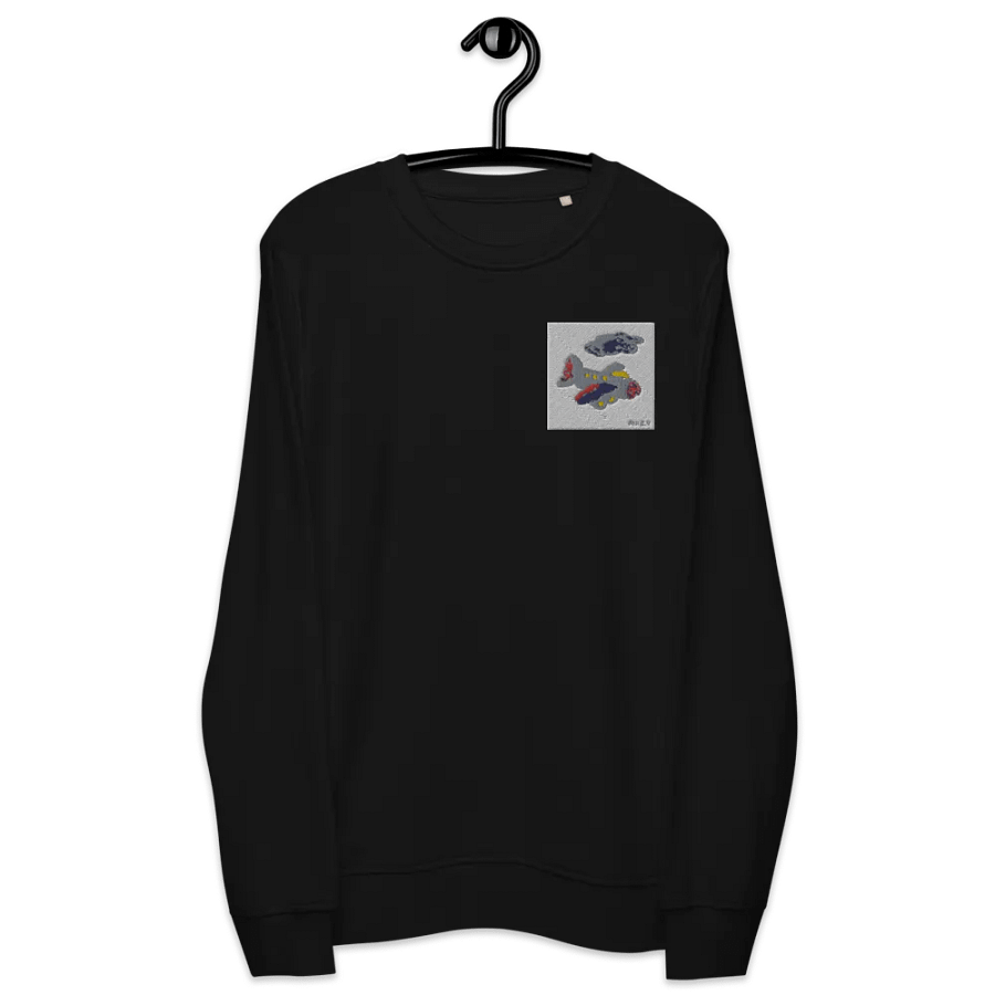 Kid Airplane (SOL'S Unisex Organic Sweatshirt) product image (5)