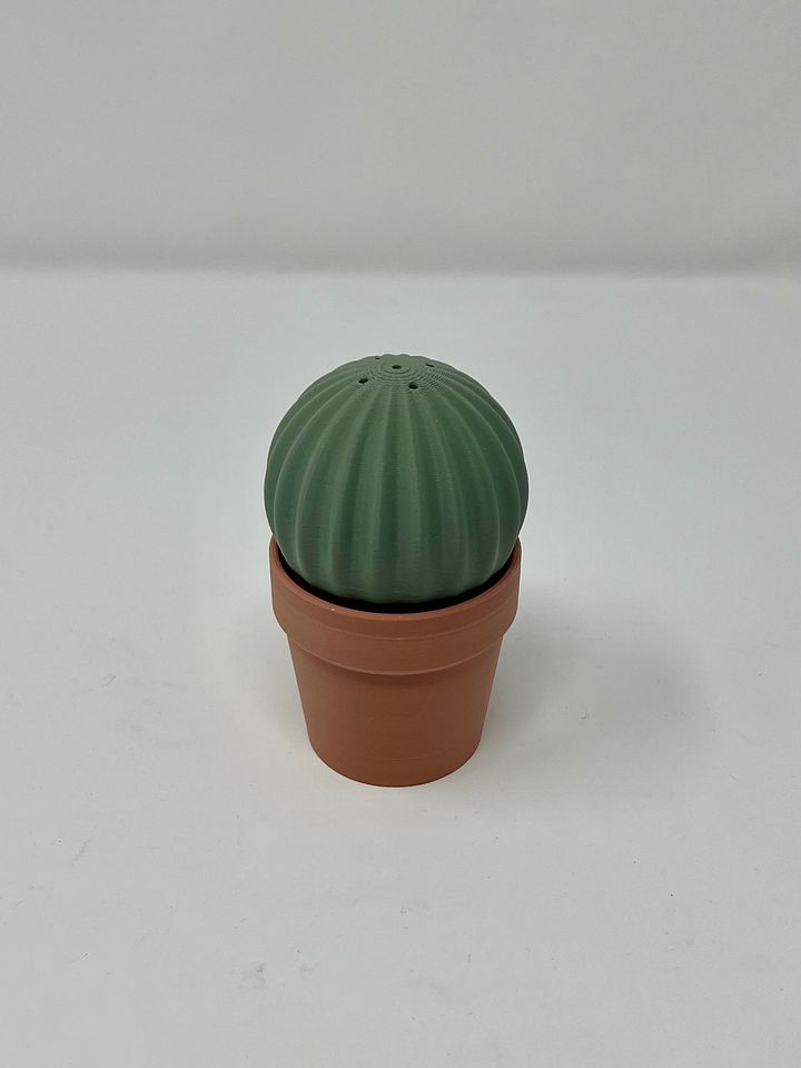 Cactus Salt and Pepper Shakers (3D Printed) product image (1)