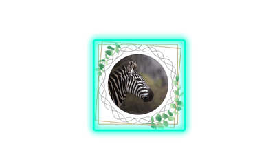ZEBRA 02 - Tricks & Tips mailout to you