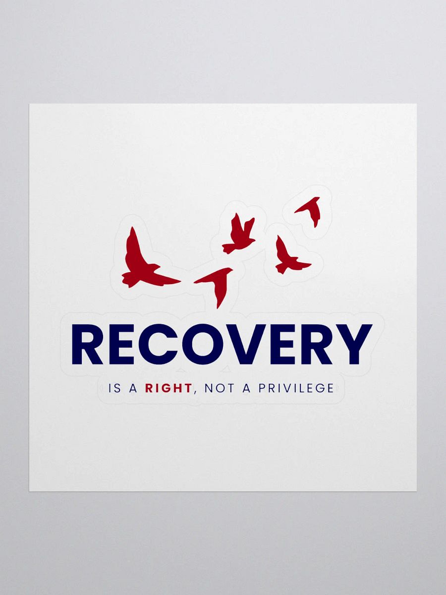 Recovery is a Right, Not a Privilege product image (1)