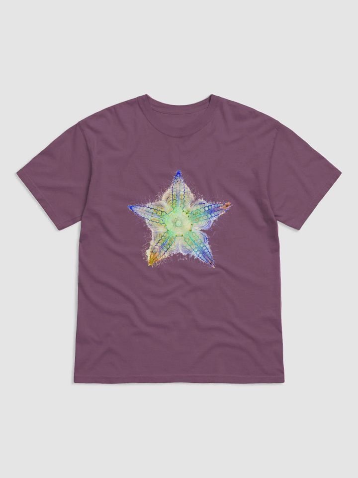 Starfish Nervous System product image (5)
