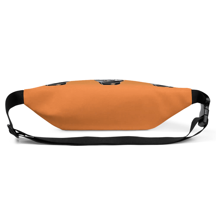 BIGGY Fanny Pack product image (2)