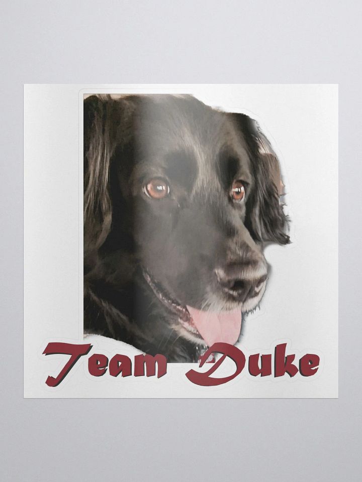 Team Duke Sticker product image (1)