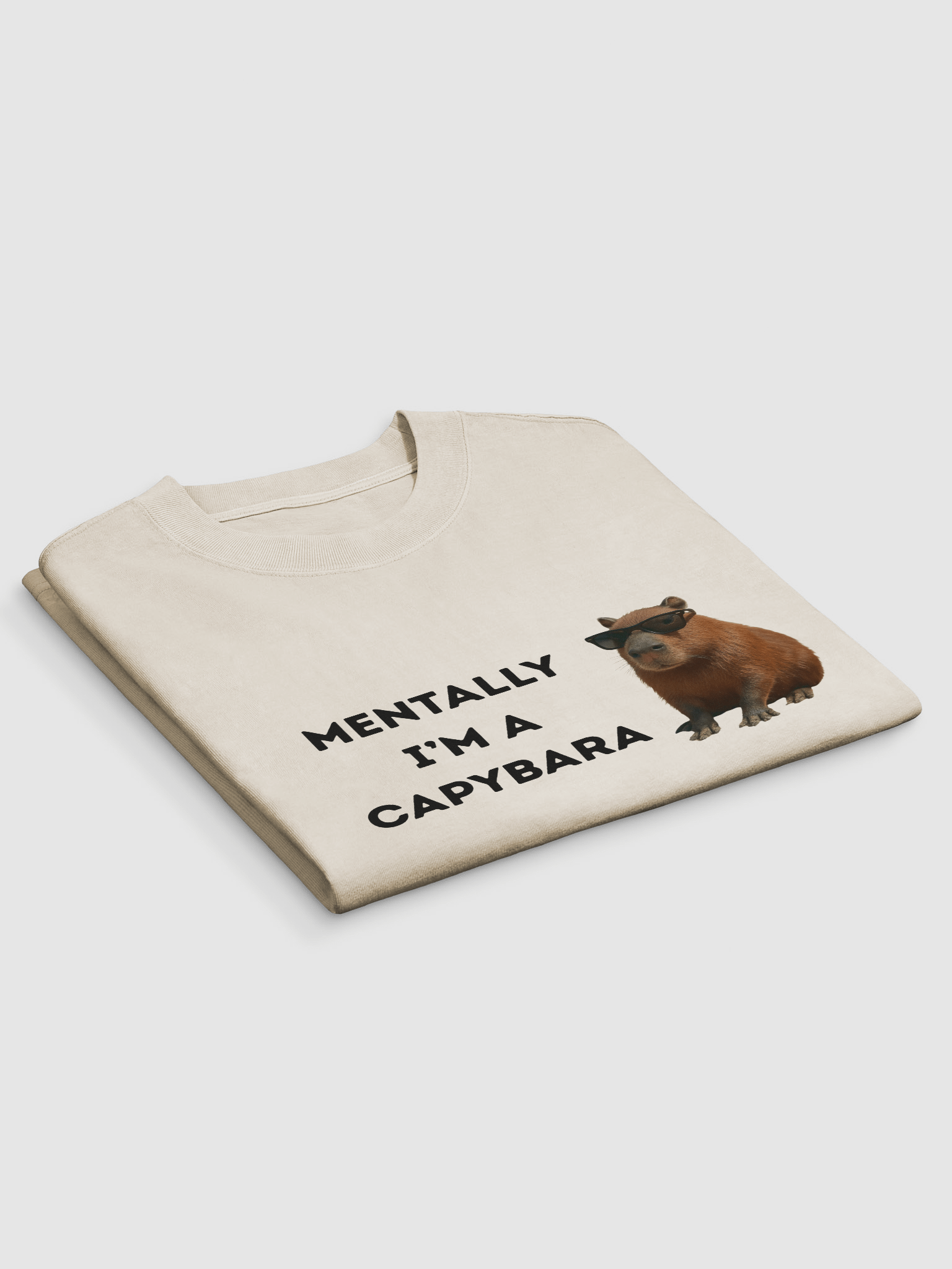 Lazy Days Capybara Graphic T-shirt product image (3)