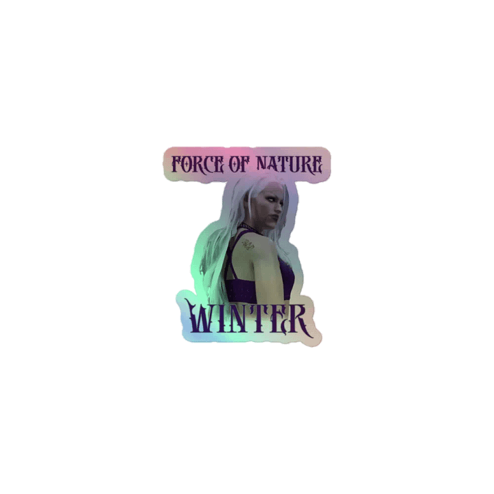 BTW Winter holographic stickers product image (1)