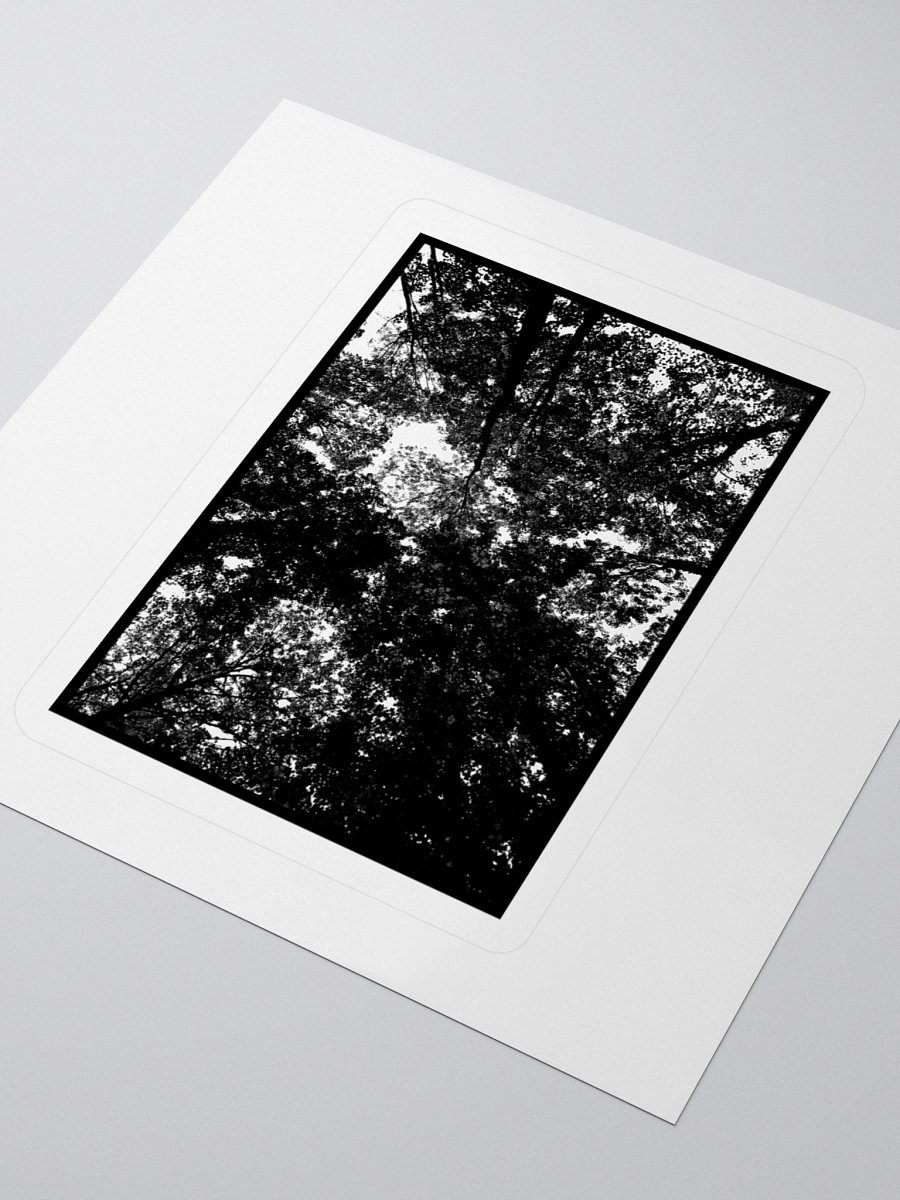 WINTER'S EVE - 'Arboretum of Solitude' Sticker product image (9)