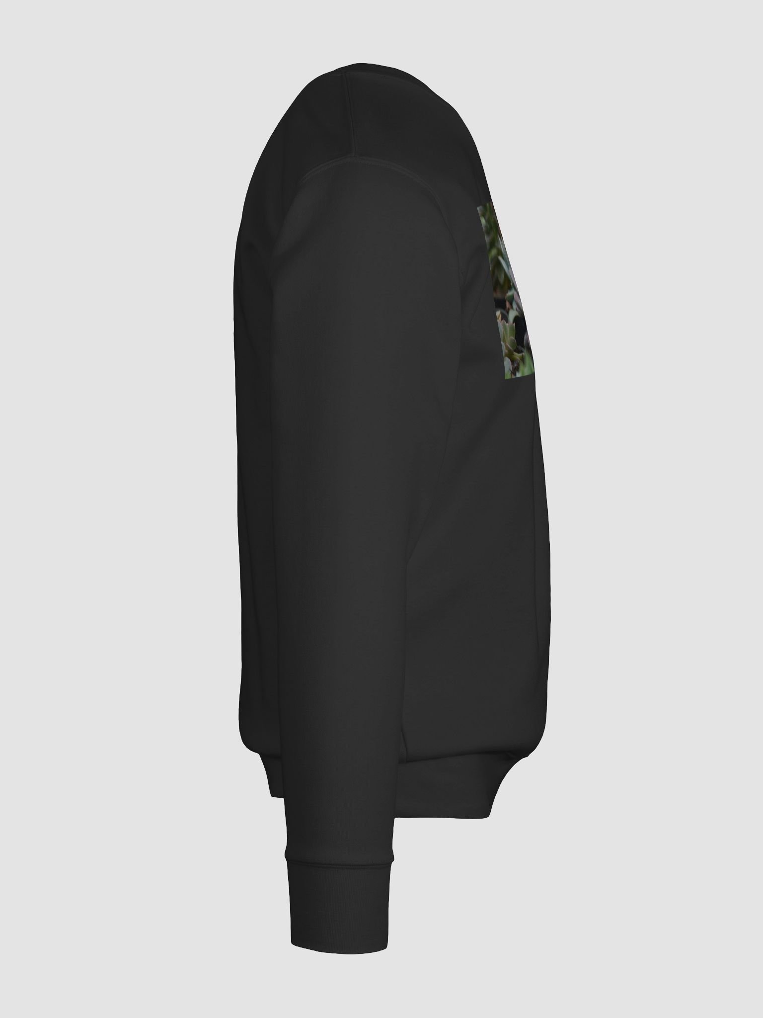 Succulent Serenity Sweatshirt product image (12)