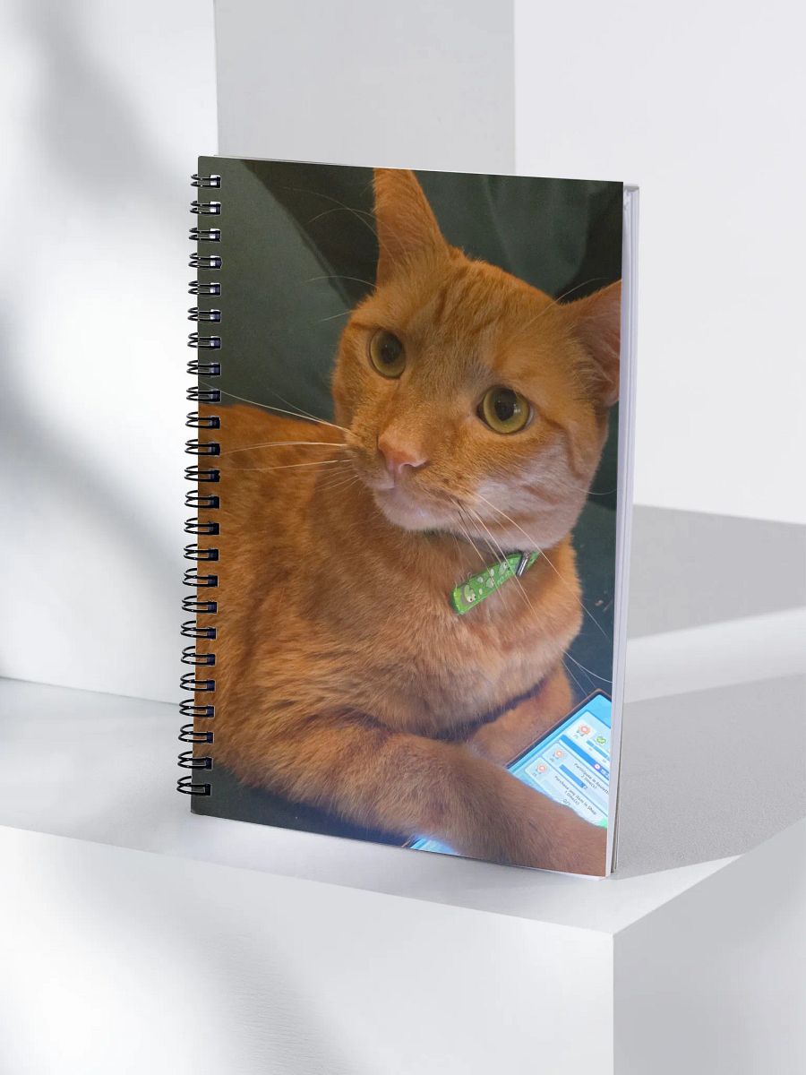 Cat Book product image (4)