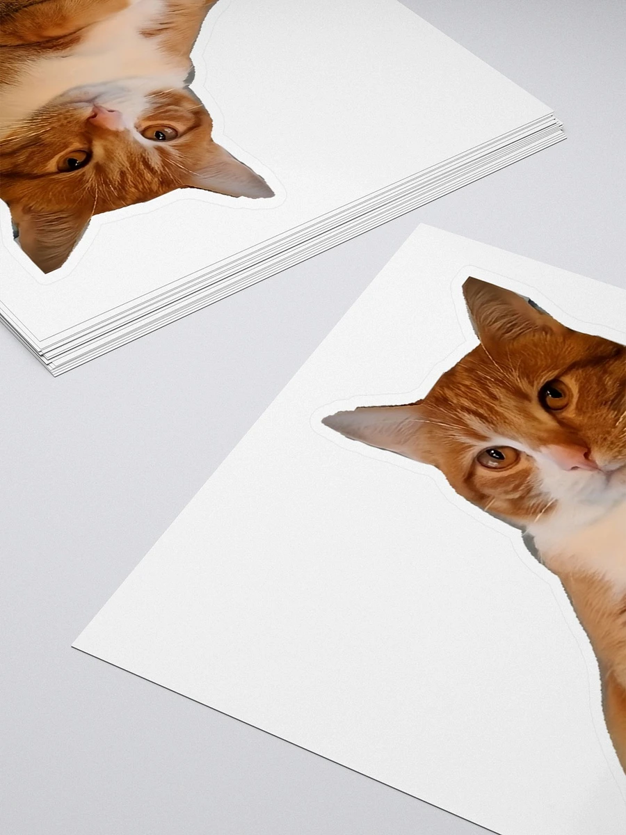 Kiss Cut Stickers: Meme Cats judgmental product image (4)