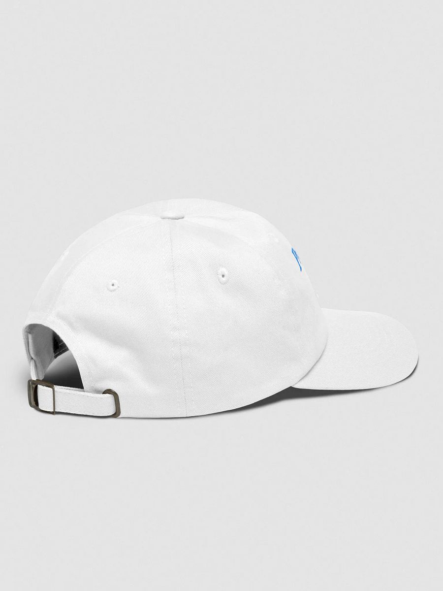 professional slanger cap product image (4)