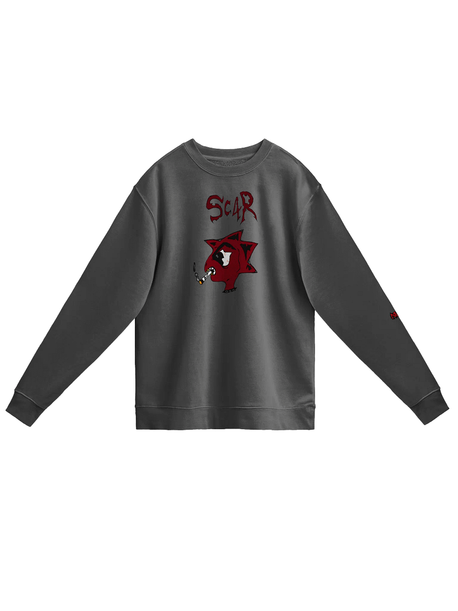 SC4R product image (1)