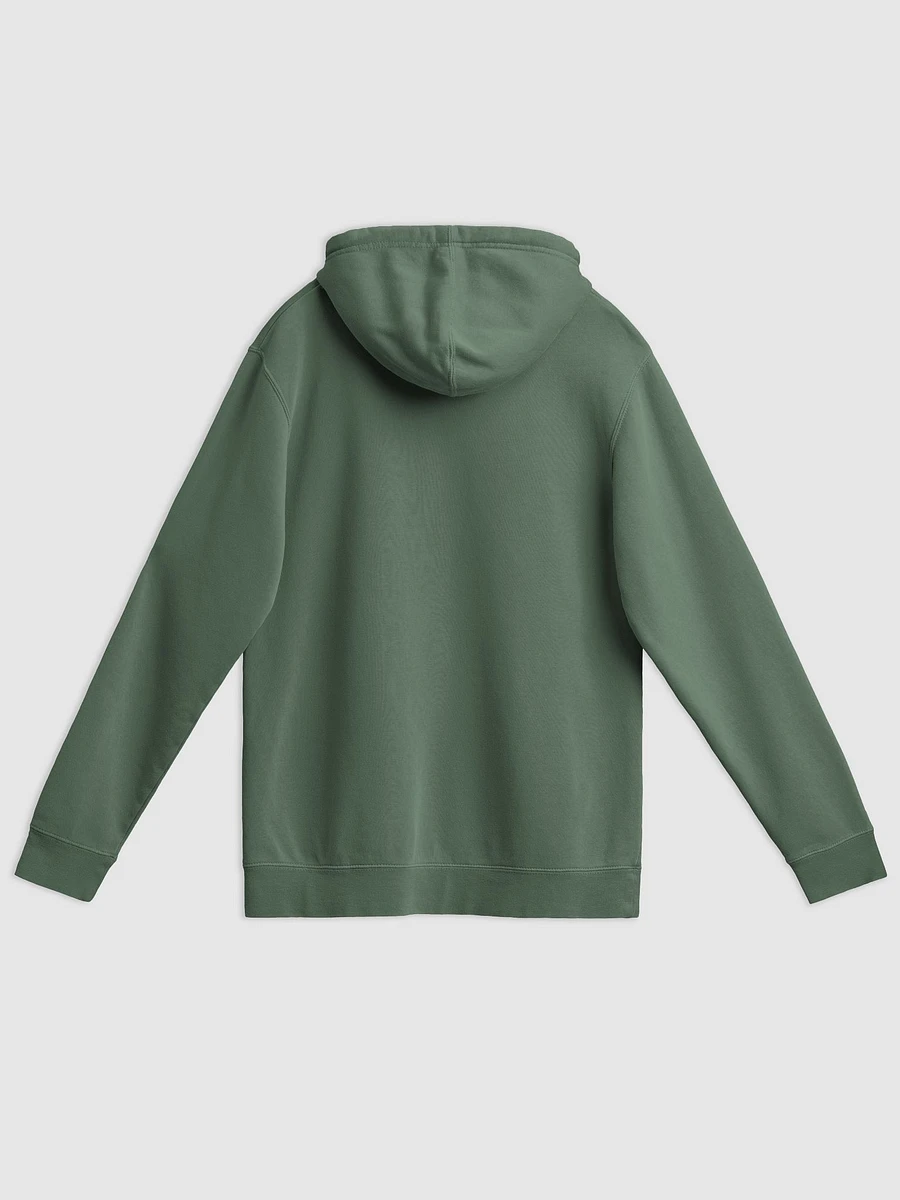 Oregon Adventure Hipster Journey Pigment Hoodie product image (2)