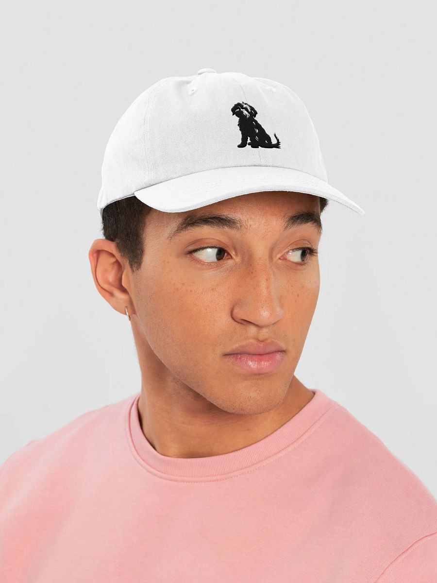 Embroidered "Doodle" Dad Hat product image (1)