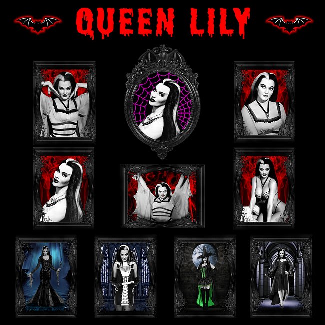 QUEEN LILY