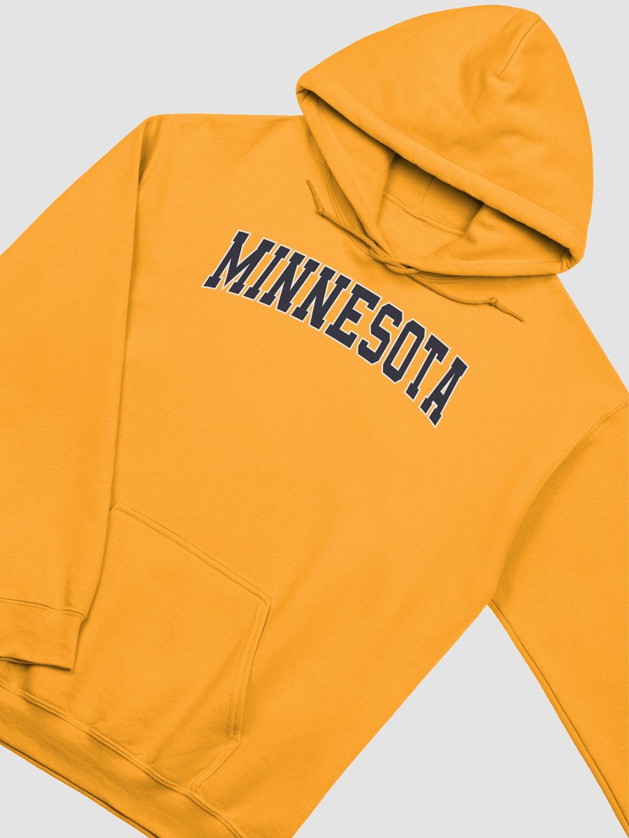 Minnesota Vintage Stylish Classic Hoodie product image (2)