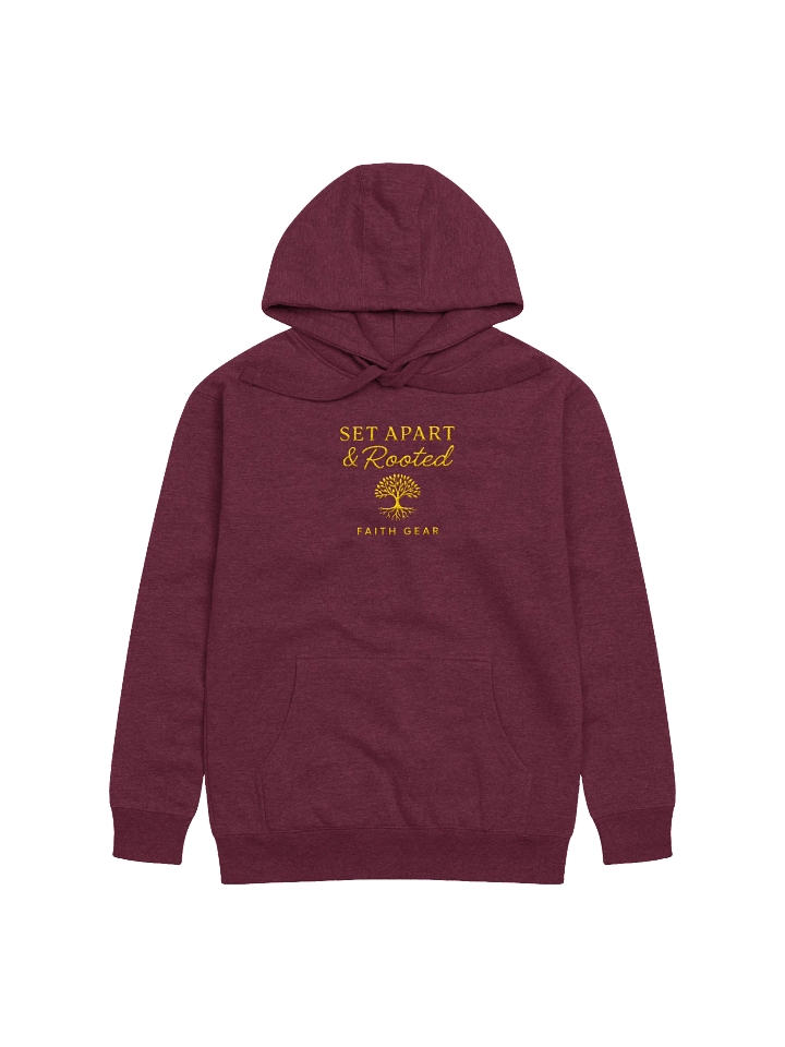 Set Apart & Rooted Embroidered Branded Hoodie (Dark Colors) product image (3)
