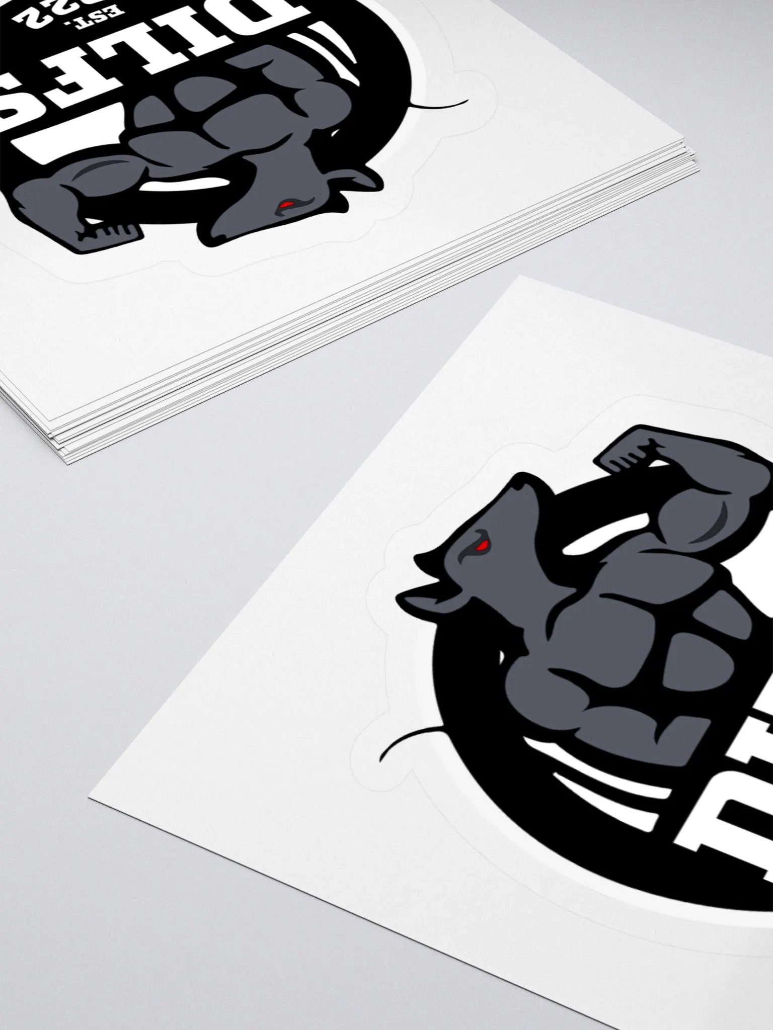 DILFS Flex Logo Stickers product image (12)