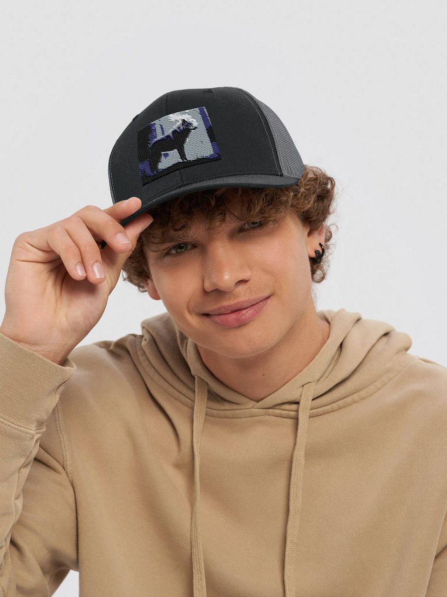 beautiful cap with a wolf logo product image (6)