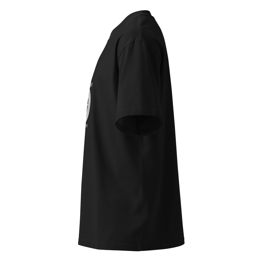 Moonlight Detective Organic Oversized T-Shirt product image (4)