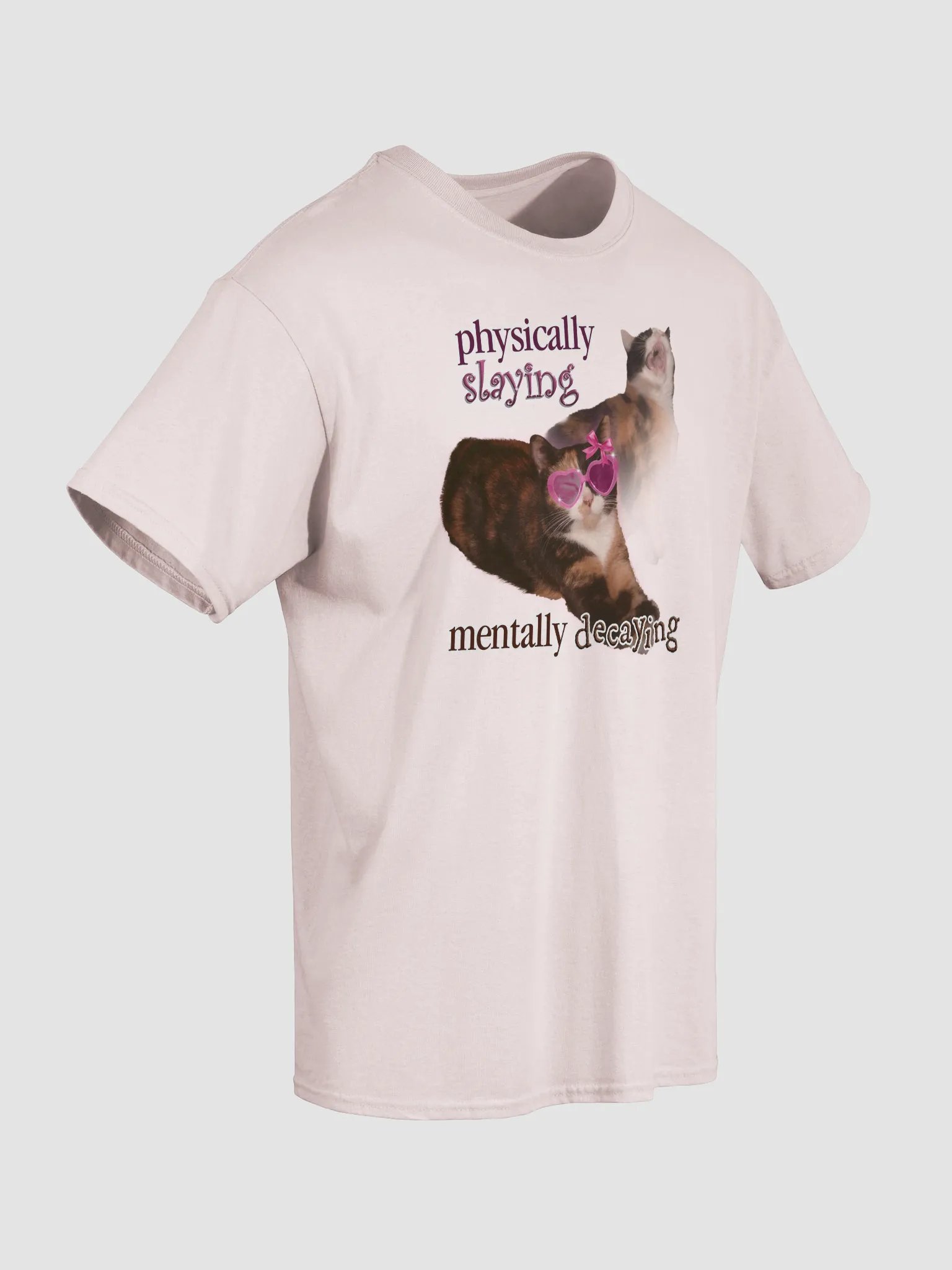 Physically Slaying Mentally Decaying - Cat T-shirt product image (37)