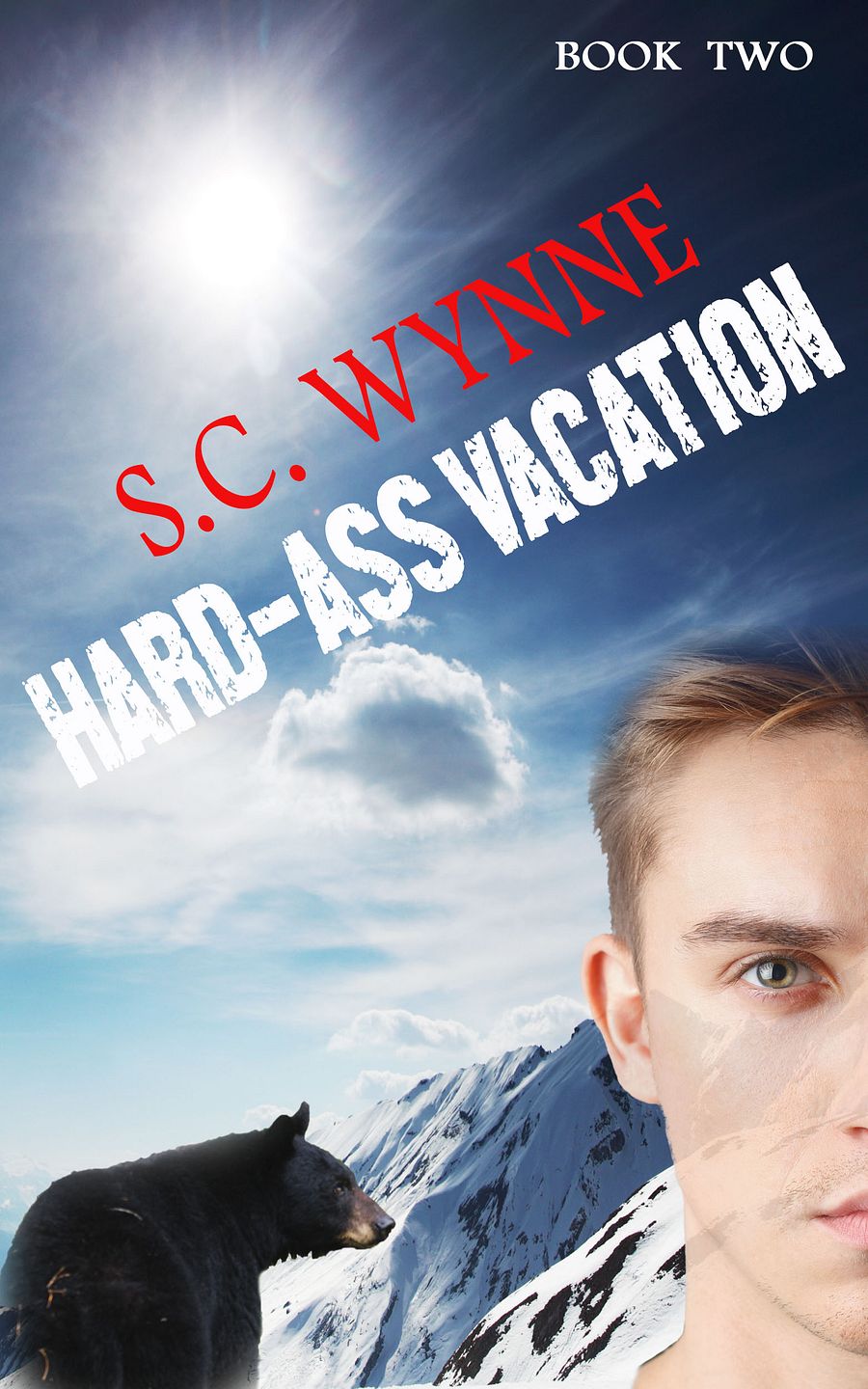 Hard-Ass Vacation (Hard-Ass Series Book 2) product image (1)