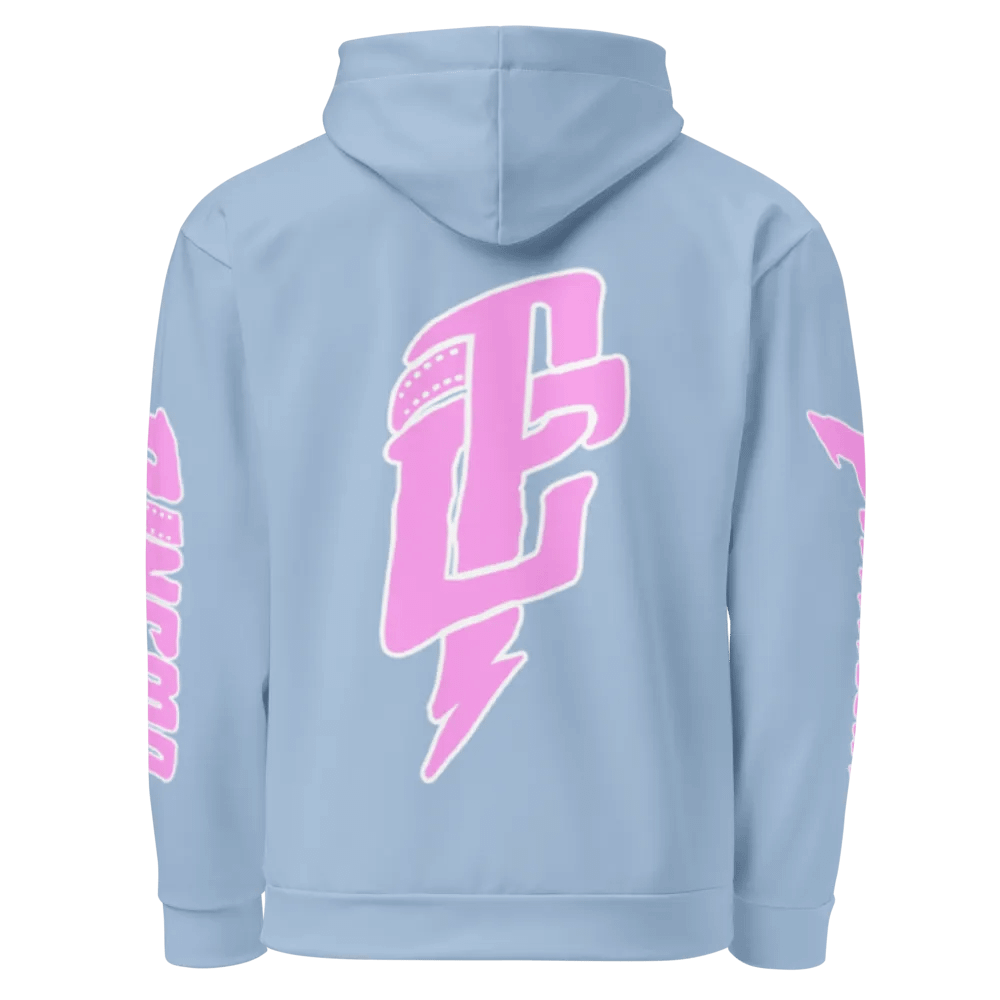 PARKWAY CINEMA "SOBER" HOODIE product image (3)