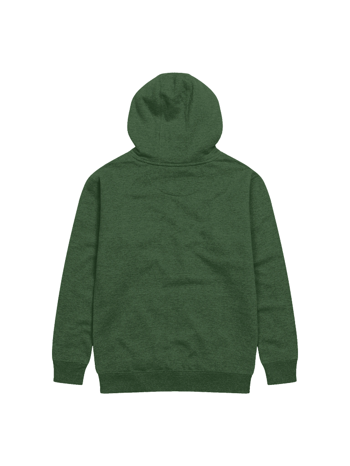 Vintage Green RO Hoodie product image (2)