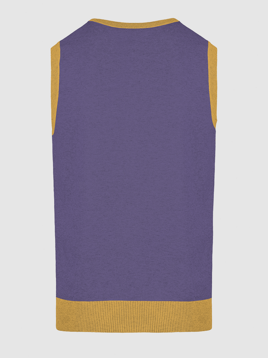 Sunlit Vibe Knitted Vest product image (16)