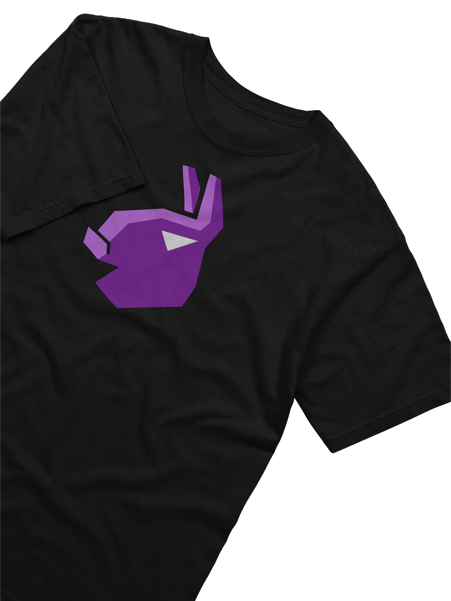 Dangit Black Tee product image (1)