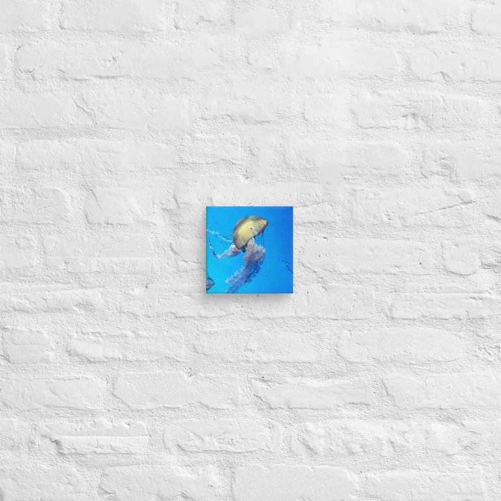 Jellyfish product image (5)