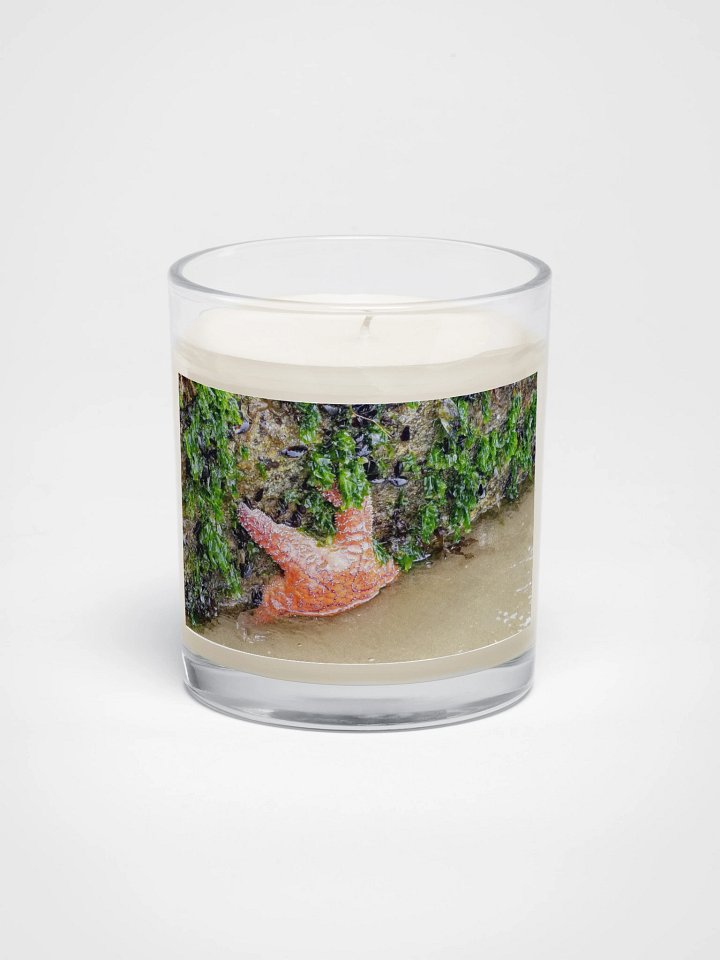 Starfish Soy Candle product image (1)
