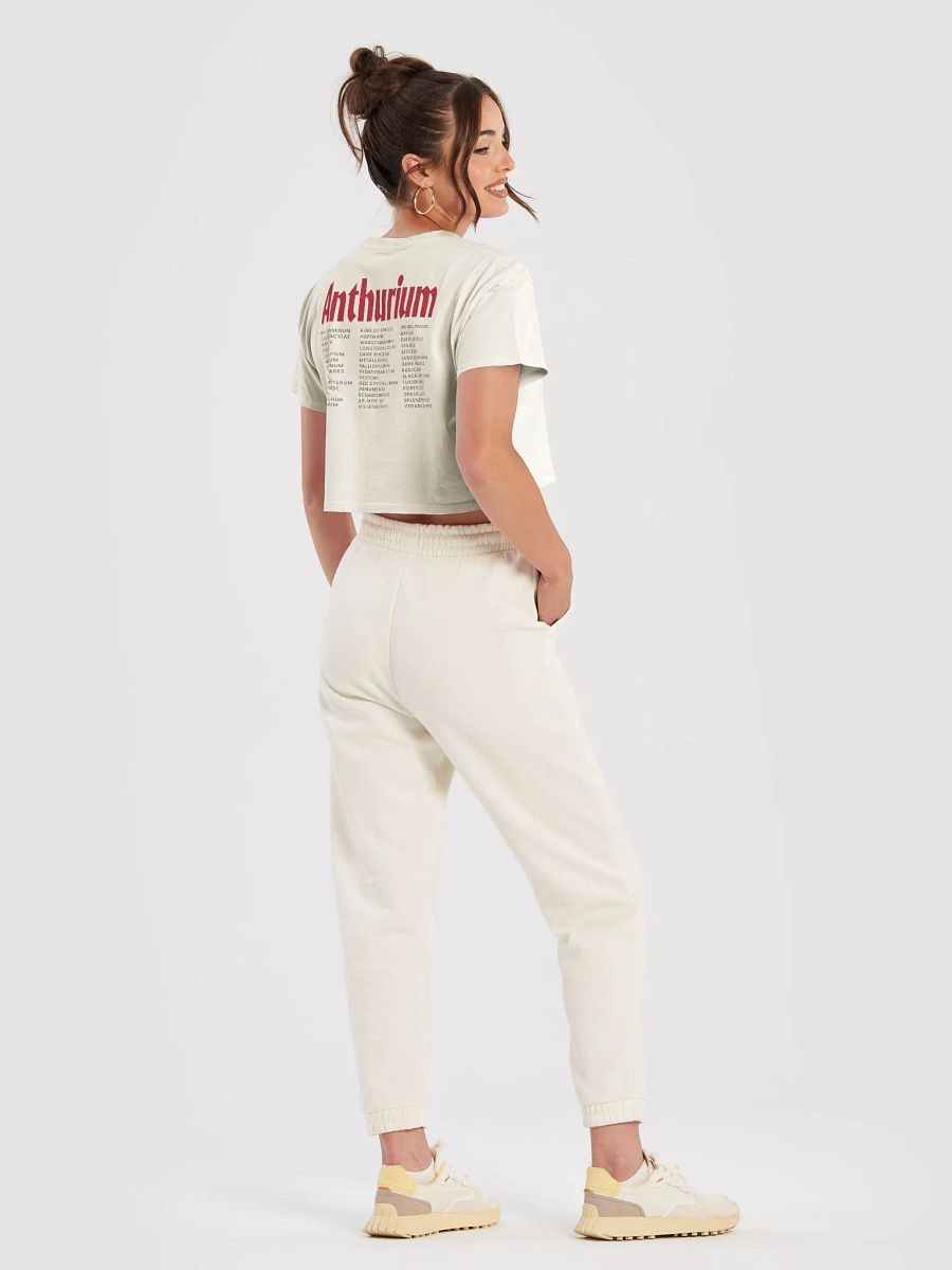 ⚡️ ANTHURIUM WORLD TOUR ⚡️ crop top product image (16)
